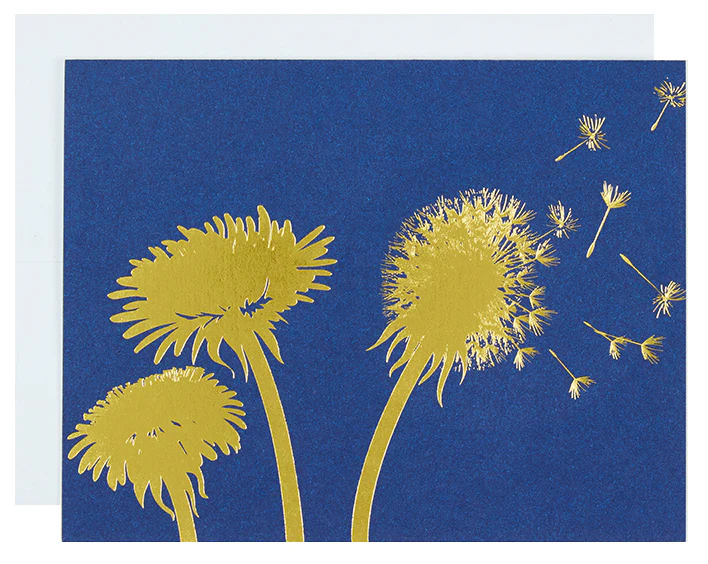 No Text | Dandelions