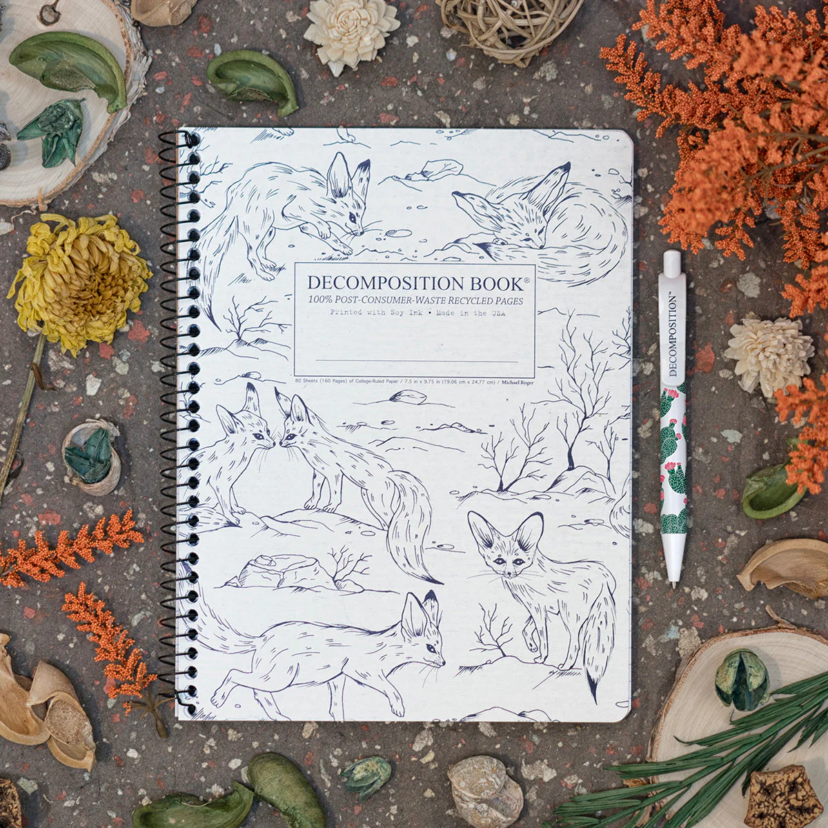 Fennec Foxes Decomposition Book - Image 3